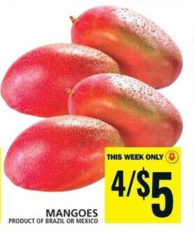 Food Basics MANGOES offer