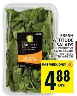 Food Basics FRESH ATTITUDE SALADS 155-312G offer