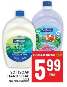 Food Basics SOFTSOAP HAND SOAP 1.47L offer