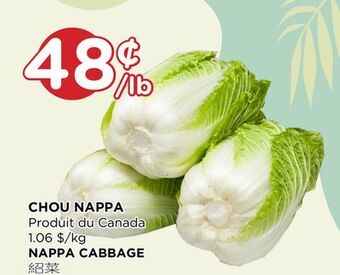 Kim Phat Nappa cabbage offer