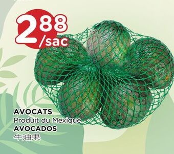 Kim Phat Avocados offer