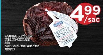 Kim Phat Whole fresh mussels offer
