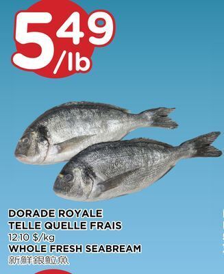 Kim Phat Whole fresh seabream offer