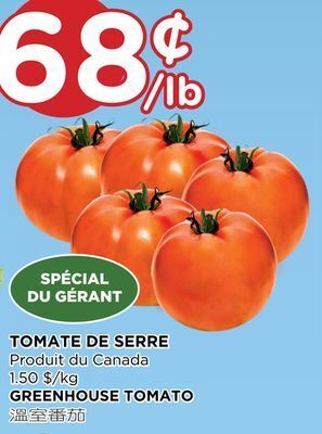 Kim Phat Greenhouse tomato offer