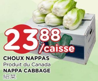 Kim Phat Nappa cabbage offer