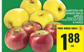 Food Basics Mcintosh or ginger gold apples offer