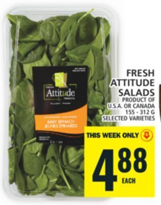 Food Basics Fresh attitude salads offer