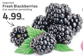 IGA Imported Fresh Blackberries 6oz offer