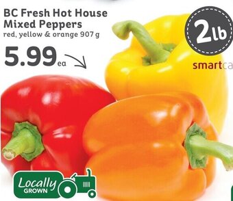 IGA BC Fresh Hot House Mixed Peppers red, yellow & orange 907g offer