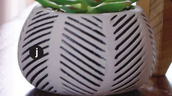 Dot Furniture Small succulent plant offer