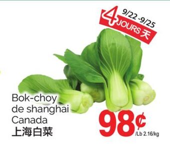 T&T Supermarket Bok-choy de shanghai offer