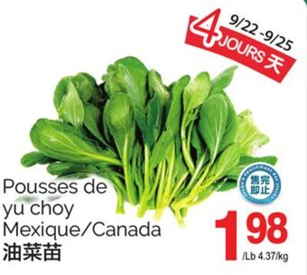 T&T Supermarket Pousses de yu choy offer