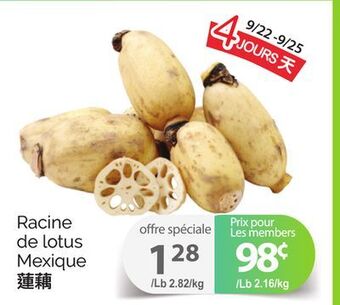 T&T Supermarket Racine de lotus offer
