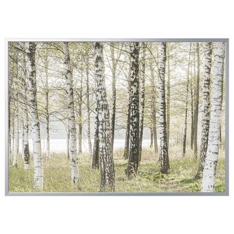 IKEA Björksta picture and frame, birches/aluminium-colour, 78 ¾x55 offer