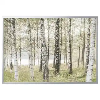 IKEA Björksta picture and frame, birches/aluminium-colour, 78 ¾x55 offer