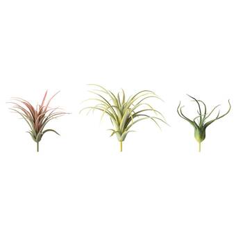 IKEA Fejka artificial plant, set of 3, air plant offer