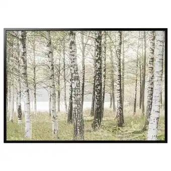 IKEA Björksta picture and frame, birches/black, 78 ¾x55 offer