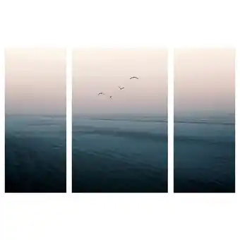 IKEA Pjätteryd picture, set of 3, flying off, 71 ¾x46 ½ offer
