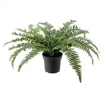 Fejka artificial potted plant, indoor/outdoor fern, 6