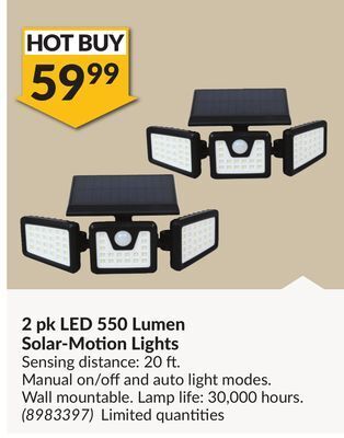 Princess Auto 2 pk led 550 lumen solar-motion lights offer