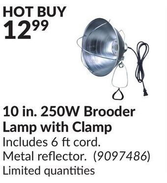 Princess Auto 10 in. 250w brooder lamp with clamp offer