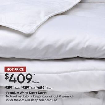 Sleep Country Premium white down duvet offer