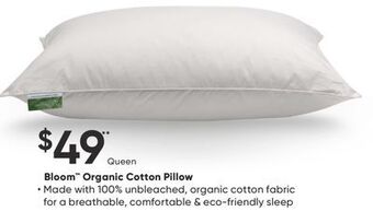 Sleep Country Bloom organic cotton pillow offer