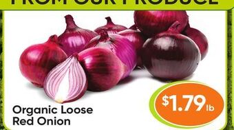 Healthy Planet Organic loose red onion offer