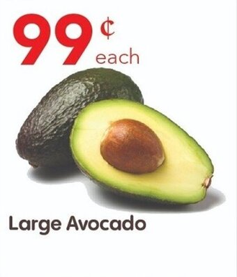 Large Avocado