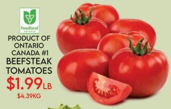 Fiesta Farms BEEFSTEAK TOMATOES offer