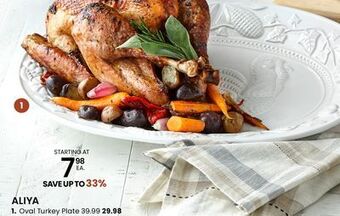 Stokes Aliya oval turkey plate offer