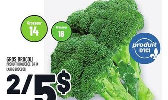 Metro Gros brocoli | large broccoli offer