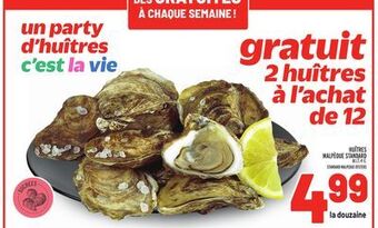 Metro Huîtres malpèque standard | standard malpeque oysters offer