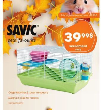 Chico Cage martha 2 pour rongeurs savic offer