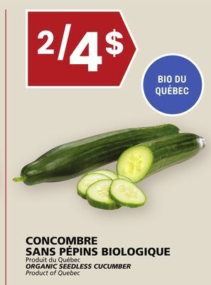 Rachelle-Bery Grocery Organic seedless cucumber offer