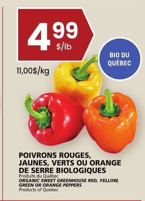 Rachelle-Bery Grocery Organic sweet greenhouse red, yellow, green or orange peppers offer