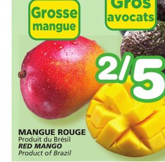 Marches Tradition Red mango offer