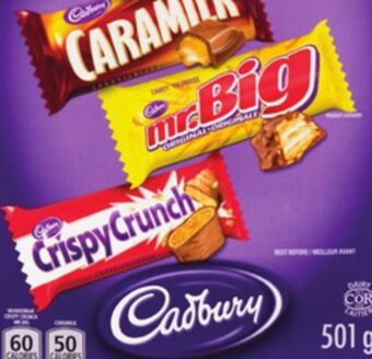 Marches Tradition Cadbury (45) welch`s (630 g) treats or fruit snacks offer