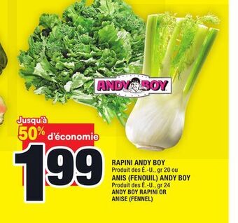 Super C Rapini andy boy ou anis (fenouil) andy boy | andy boy rapini or anise (fennel) offer