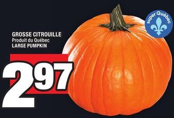 Super C Grosse citrouille | large pumpkin offer