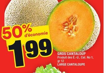 Super C Gros cantaloup | large cantaloupe offer
