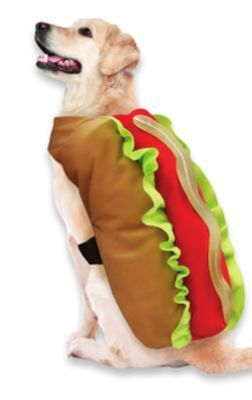 Walmart Halloween pet apparel offer