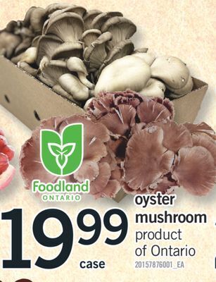 Fortinos Oyster mushroom offer