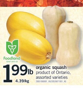 Fortinos Organic squash offer
