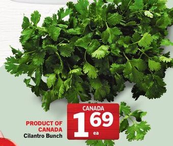 Foodland Cilantro product of canada offer