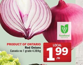Foodland Red onions product of ontario canada no 1 grade offer