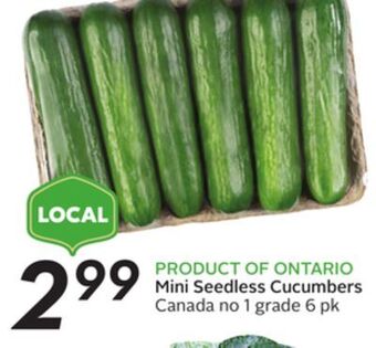 Sobeys Mini seedless cucumbers offer