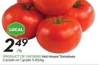 Sobeys Hot house tomatoes offer