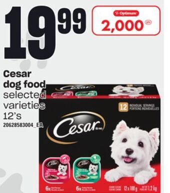 Independent Grocer Cesar dog food, 12's offer