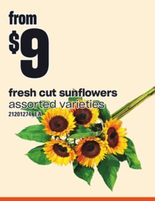Independent Grocer Fresh cut sunflowers offer